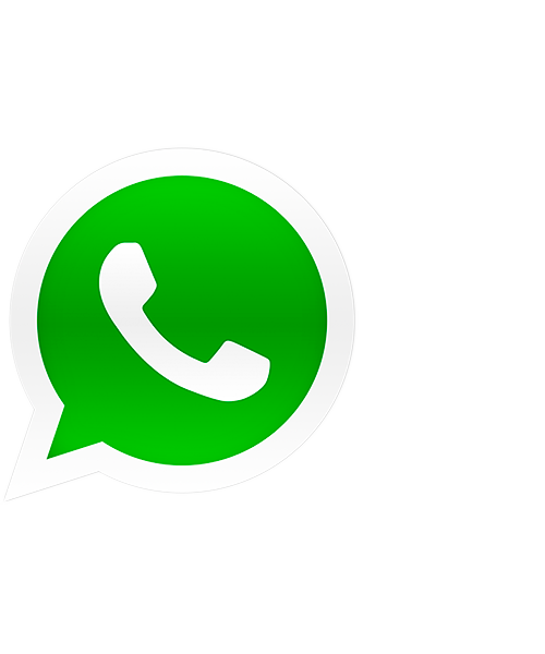 WhatsApp Chat Bot Developers South Africa